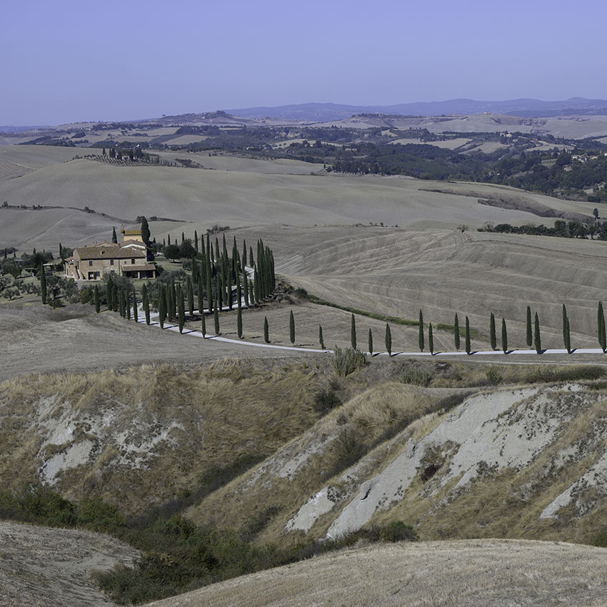 Siena