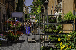 DSC_6914-750-via-Margutta