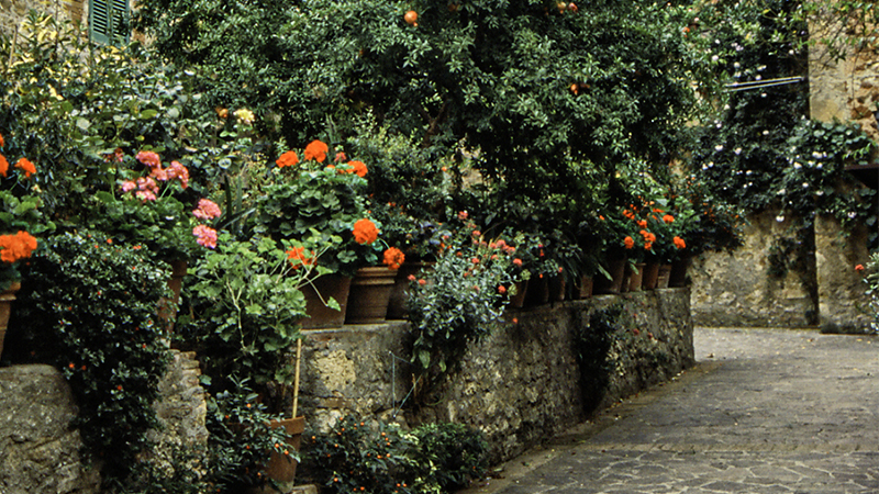 Pienza