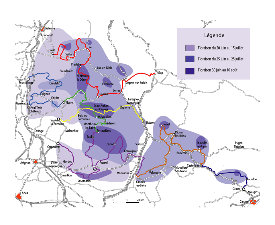 Lavbender Map