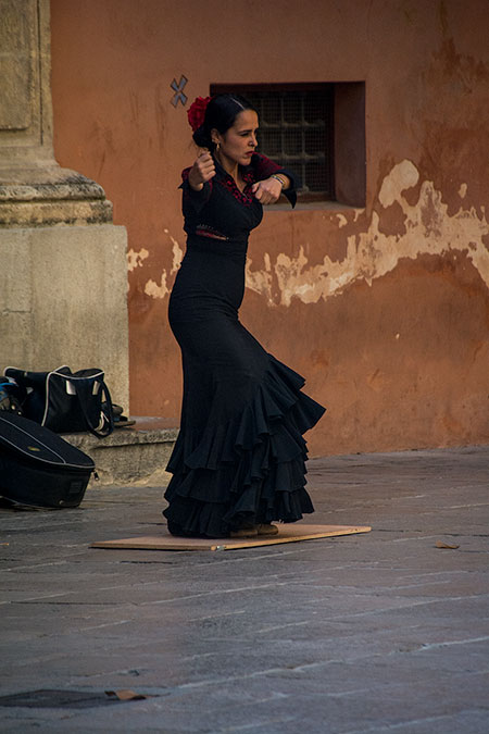 Dancer in Granada