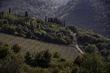 DSC_8079-850-Chianti