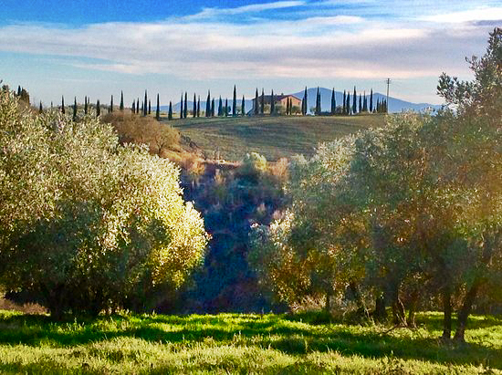  agritourism Podere Fornaci
