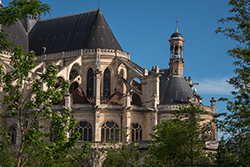 DSC_2872-850-NotreDame