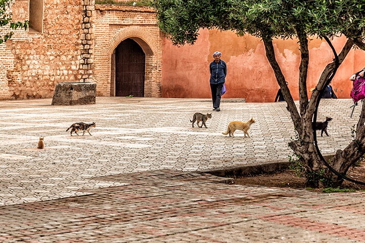 Marrakech Koutoubia Mosque