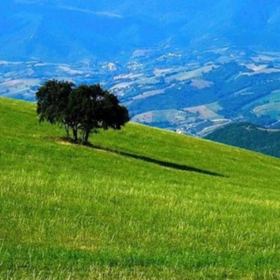 POGGIO SAN ROMUALDO DI FABRIANO